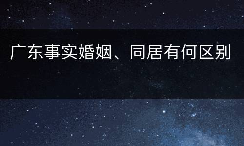广东事实婚姻、同居有何区别