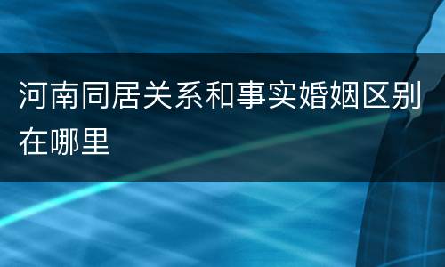 河南同居关系和事实婚姻区别在哪里