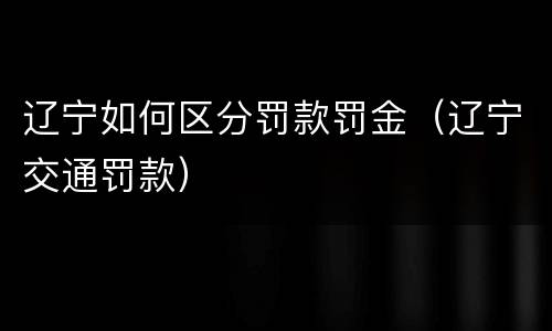 辽宁如何区分罚款罚金（辽宁交通罚款）