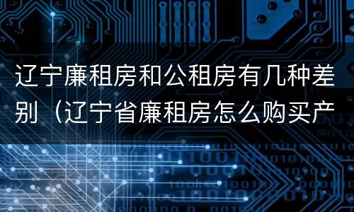 辽宁廉租房和公租房有几种差别（辽宁省廉租房怎么购买产权）