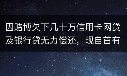 因赌博欠下几十万信用卡网贷及银行贷无力偿还，现自首有什么后果