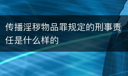传播淫秽物品罪规定的刑事责任是什么样的