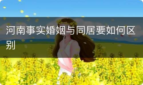 河南事实婚姻与同居要如何区别
