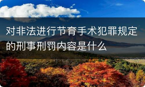 对非法进行节育手术犯罪规定的刑事刑罚内容是什么