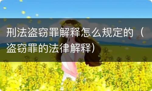 刑法盗窃罪解释怎么规定的（盗窃罪的法律解释）