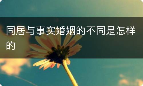 同居与事实婚姻的不同是怎样的