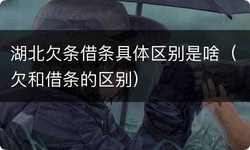 湖北欠条借条具体区别是啥（欠和借条的区别）