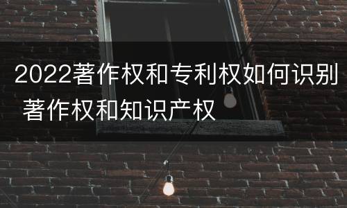 2022著作权和专利权如何识别 著作权和知识产权
