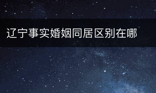 辽宁事实婚姻同居区别在哪