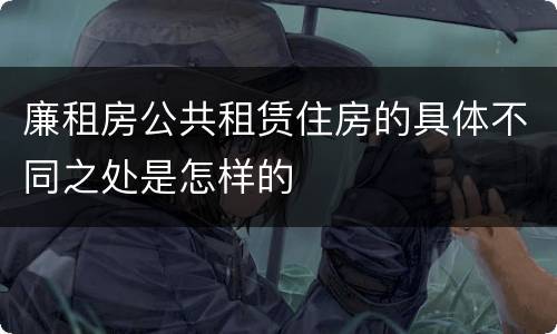廉租房公共租赁住房的具体不同之处是怎样的