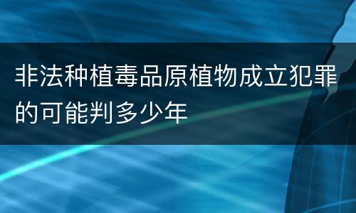 非法种植毒品原植物成立犯罪的可能判多少年