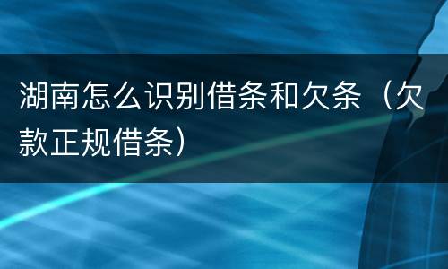 湖南怎么识别借条和欠条（欠款正规借条）
