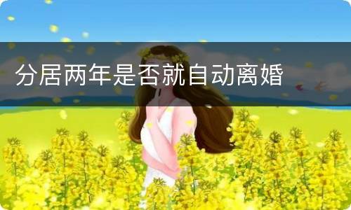 分居两年是否就自动离婚