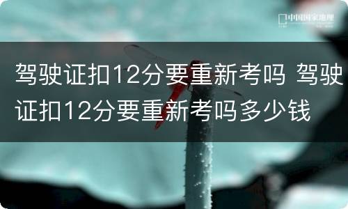 驾驶证扣12分要重新考吗 驾驶证扣12分要重新考吗多少钱