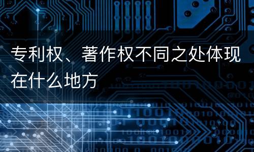 专利权、著作权不同之处体现在什么地方