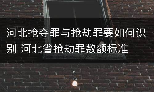 河北抢夺罪与抢劫罪要如何识别 河北省抢劫罪数额标准