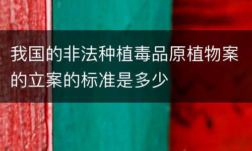 我国的非法种植毒品原植物案的立案的标准是多少