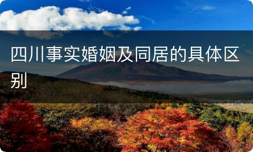 四川事实婚姻及同居的具体区别