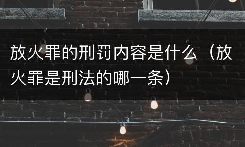 放火罪的刑罚内容是什么（放火罪是刑法的哪一条）