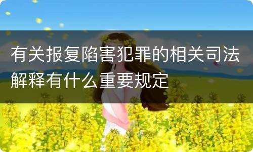 有关报复陷害犯罪的相关司法解释有什么重要规定