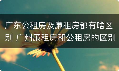 广东公租房及廉租房都有啥区别 广州廉租房和公租房的区别