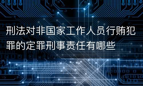 刑法对非国家工作人员行贿犯罪的定罪刑事责任有哪些
