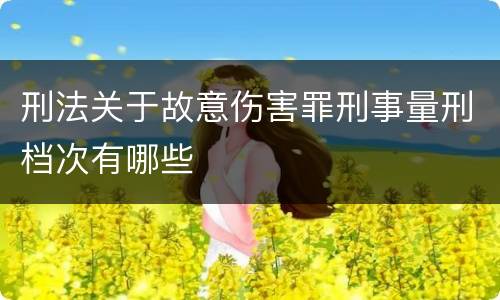 刑法关于故意伤害罪刑事量刑档次有哪些