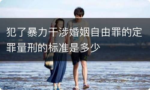 犯了暴力干涉婚姻自由罪的定罪量刑的标准是多少