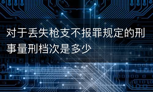 对于丢失枪支不报罪规定的刑事量刑档次是多少