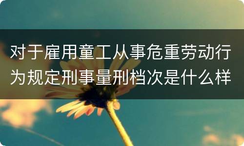 对于雇用童工从事危重劳动行为规定刑事量刑档次是什么样