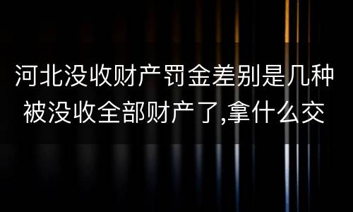 河北没收财产罚金差别是几种 被没收全部财产了,拿什么交罚金