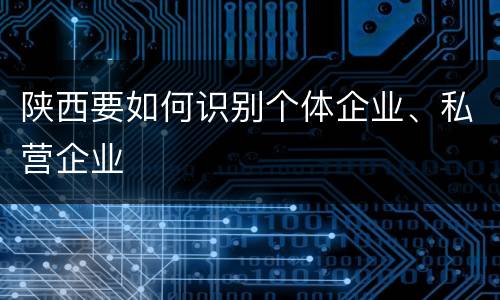 陕西要如何识别个体企业、私营企业