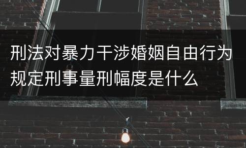 刑法对暴力干涉婚姻自由行为规定刑事量刑幅度是什么