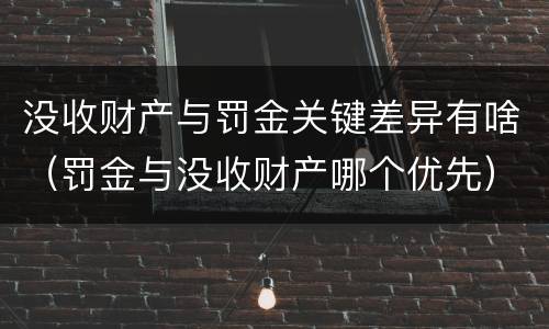 没收财产与罚金关键差异有啥（罚金与没收财产哪个优先）