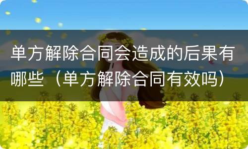 单方解除合同会造成的后果有哪些（单方解除合同有效吗）