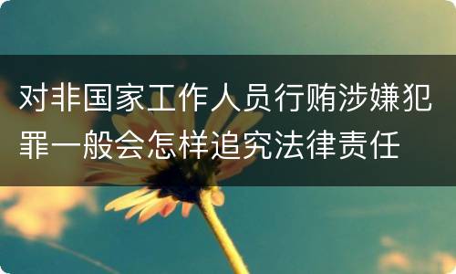 对非国家工作人员行贿涉嫌犯罪一般会怎样追究法律责任