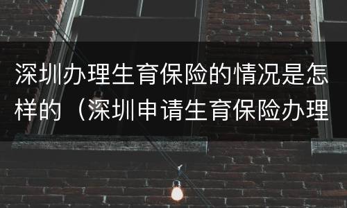 深圳办理生育保险的情况是怎样的（深圳申请生育保险办理流程）