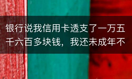 银行说我信用卡透支了一万五千六百多块钱，我还未成年不可能办信用卡，怎么可能