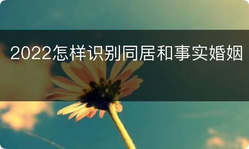 2022怎样识别同居和事实婚姻