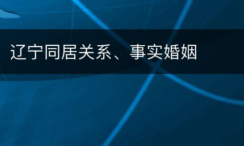 辽宁同居关系、事实婚姻