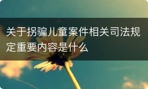 关于拐骗儿童案件相关司法规定重要内容是什么