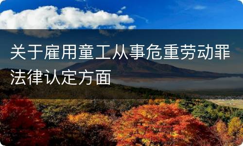 关于雇用童工从事危重劳动罪法律认定方面