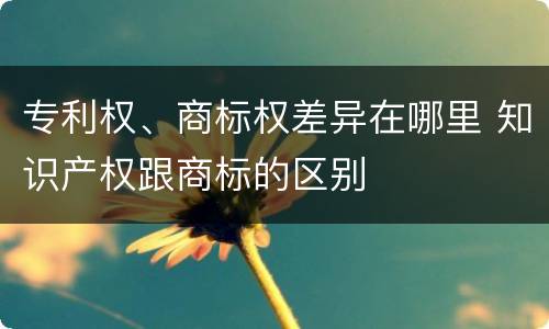 专利权、商标权差异在哪里 知识产权跟商标的区别