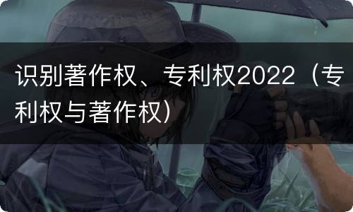 识别著作权、专利权2022（专利权与著作权）