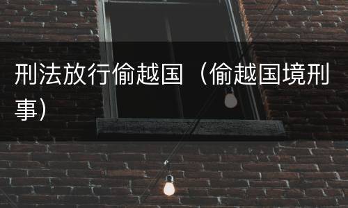 刑法放行偷越国（偷越国境刑事）