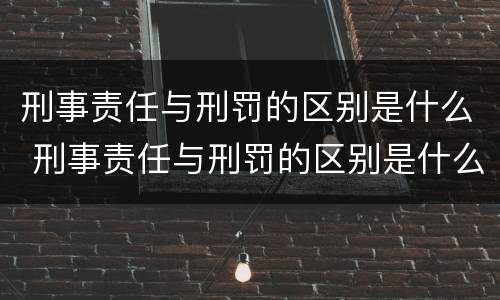 刑事责任与刑罚的区别是什么 刑事责任与刑罚的区别是什么呢