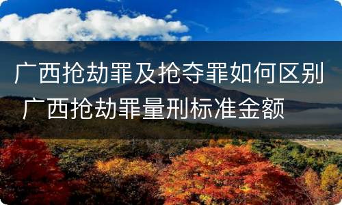 广西抢劫罪及抢夺罪如何区别 广西抢劫罪量刑标准金额