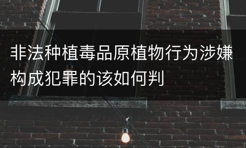 非法种植毒品原植物行为涉嫌构成犯罪的该如何判