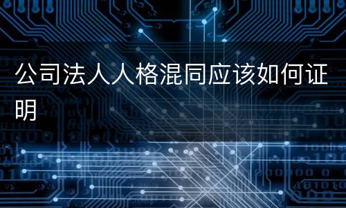 公司法人人格混同应该如何证明