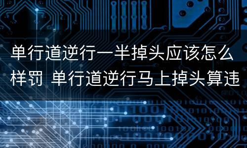 单行道逆行一半掉头应该怎么样罚 单行道逆行马上掉头算违章吗